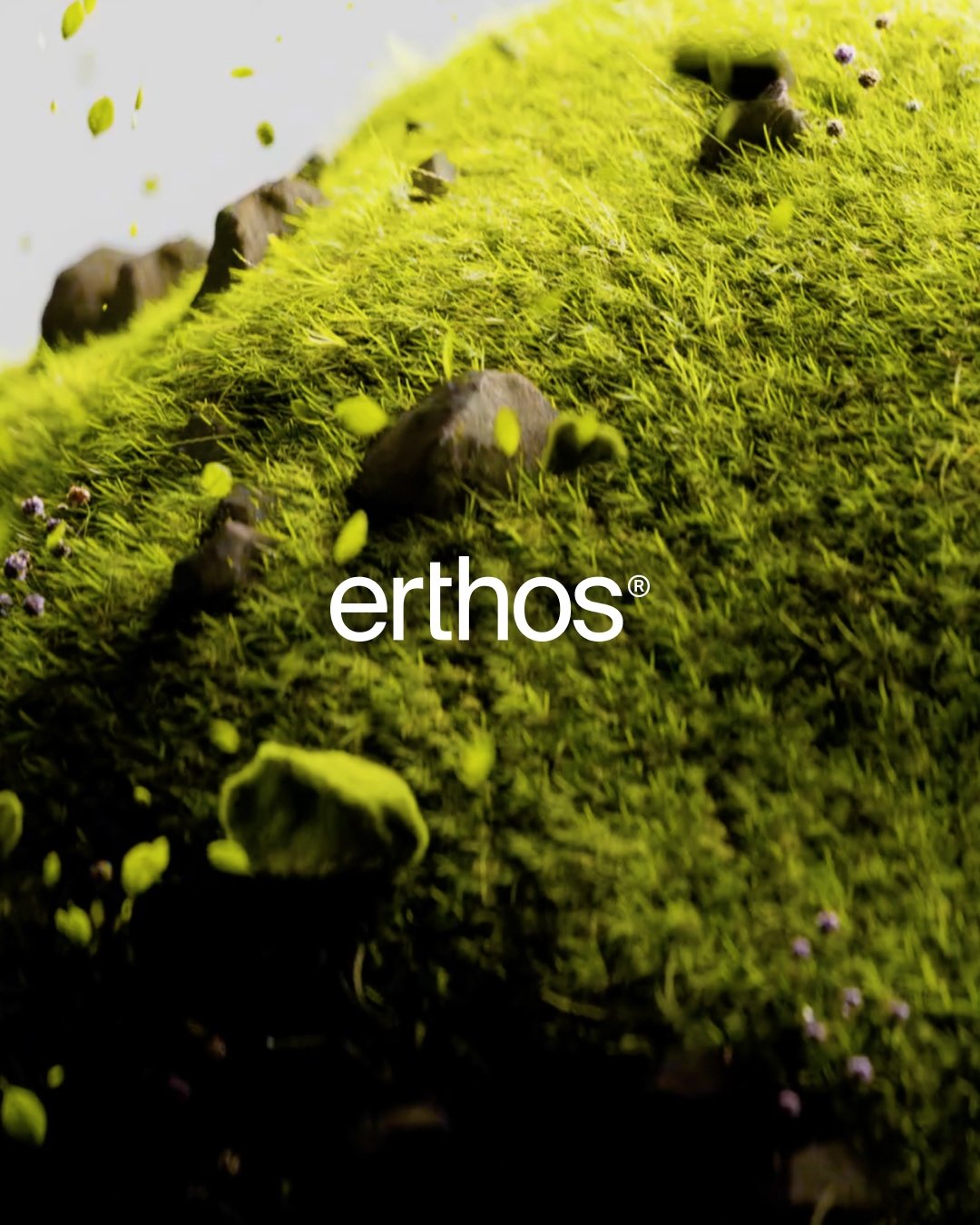 Erthos logo by WØRKS